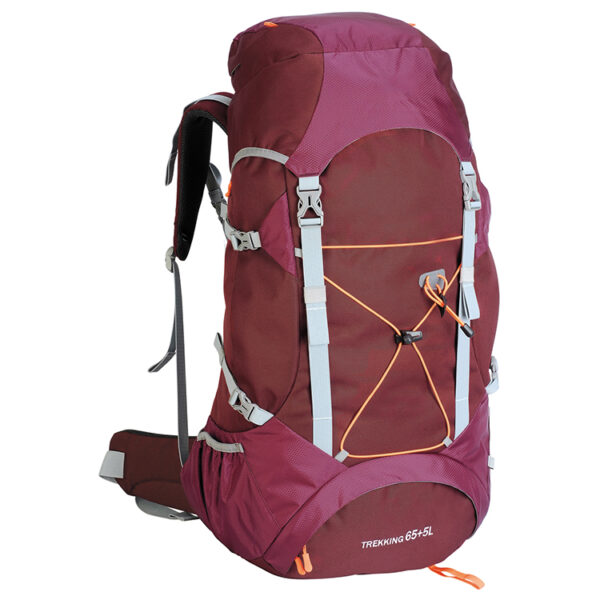 SY7003 - Image 3